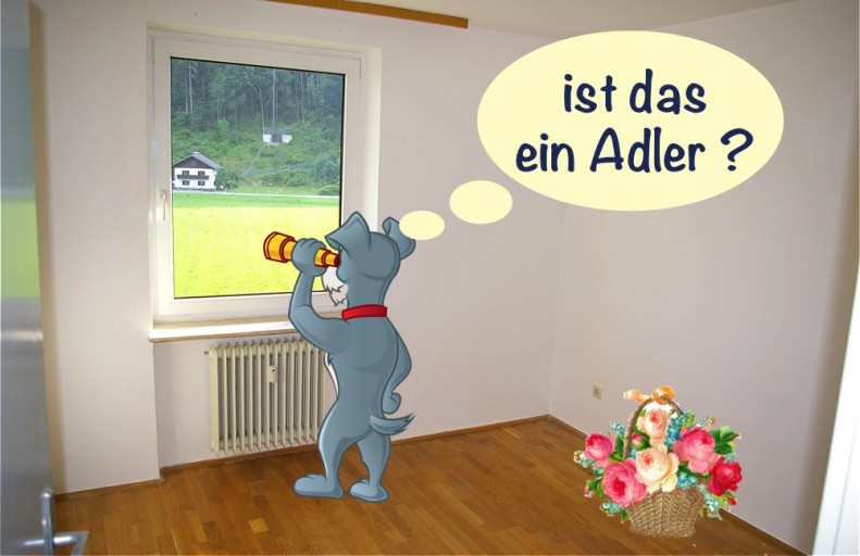Zimmer mL